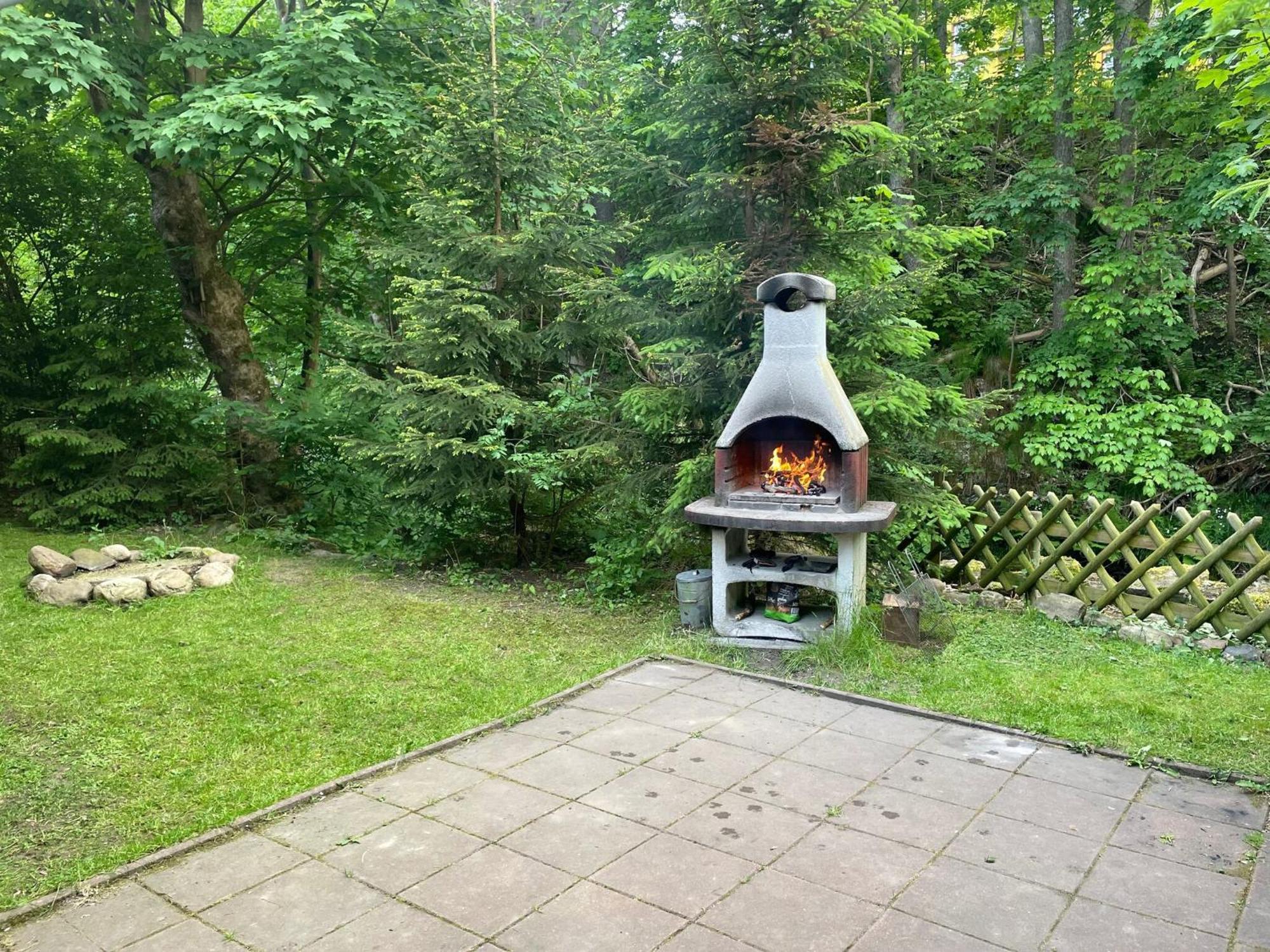 Holiday Home Hexenstieg In The Harz Mountains Elend Buitenkant foto